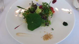 盛り付けがとってもきれい！王道フレンチより創作フレンチかな