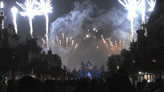 人混みによるストレスのないディズニーランド