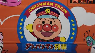 初めて見ることができてよかったです