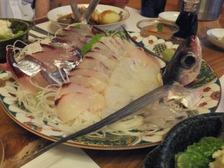 Blue Drop ブルー ドロップの宿泊予約なら フォートラベル の格安料金比較 屋久島
