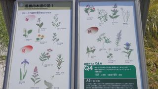 整備されています