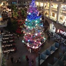 クリスマスツリー