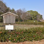 「二之丸東庭園」と「二之丸庭園」があります