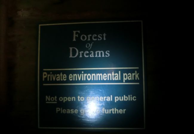 一度見たら記憶に残る幻想的な風景