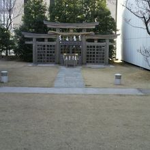 屋上の芝生の中に、鳥居の構えが端正なヒノキ造り神社があります