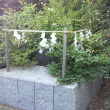中央に磐座を配し、周りに榊を植えた大神神社と同じ形です。