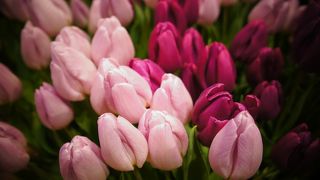 寒い冬でもこじんまりと楽しめます。