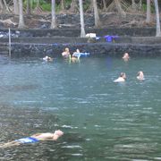 ハワイ島の温泉は賑わっている