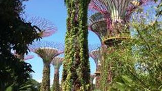 巨大な人工植物園