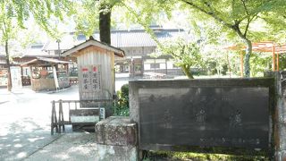 紅葉シーズン以外でも自然を楽しめます