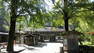 もみじまつりのときに色々なイベントが行われる広場