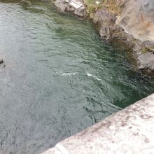 「新橋」から飛び込むポイントを撮影。ポイントは狭い。