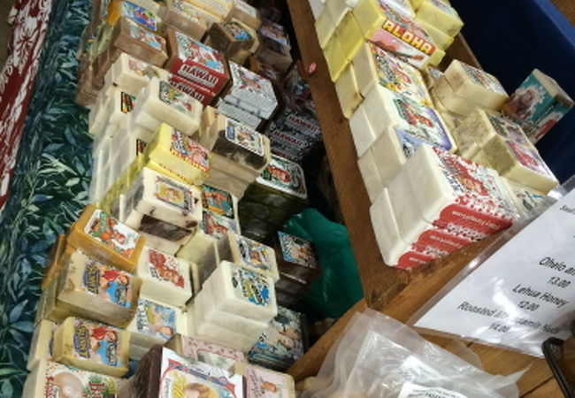 ニールズ ブレイデル センター