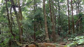 岩国城　大釣井