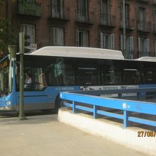 日本のよりも大きいですよね。