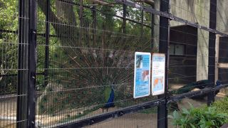 動物園だけだと普通