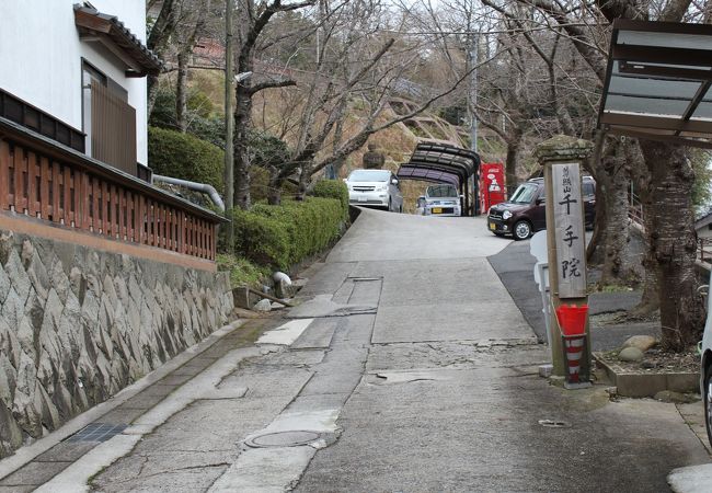 松江城も望めます