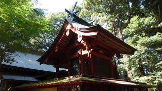 思いのほか素晴らしいです