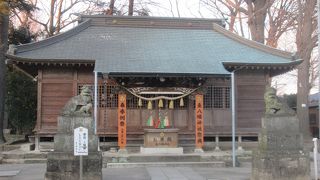 境内に末社がいくつもあります