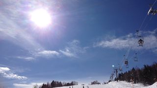 暖冬はつらい。