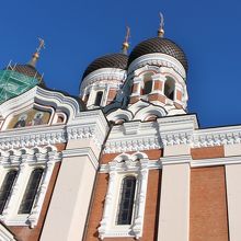 山の手地区のトームペアに建っています。