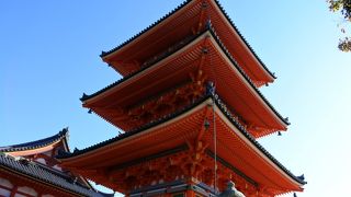 とても綺麗です！