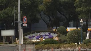 毎回花が変わります