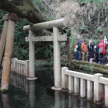 人が集まっているのが湧水口です