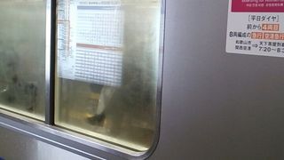 基本的には全席ロングシートの空港アクセス列車