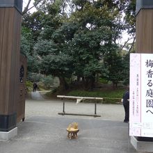 東門入り口付近　2/11〜2/21の期間だけ開門しています