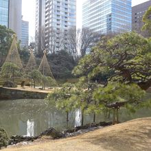 池と松の木が綺麗に配置されています