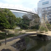 庭園とビルと東京ドーム