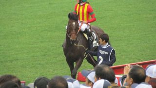 香港国際競争で日本馬が優勝！！
