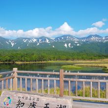 歩いても見たい風景です！