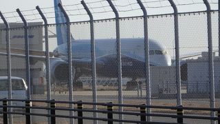 珍しい飛行機が見れるかも？