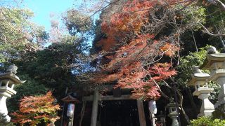 隠れた紅葉スポットです　(ё)v