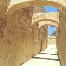 日差しがきつい