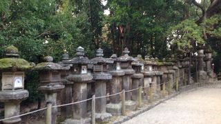 自然の中の神社