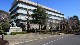 「よっ！成田屋！」