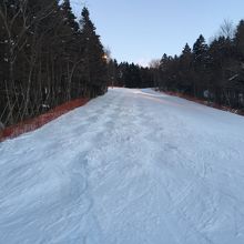 なんちゃってモーグルコース！