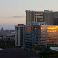 山側からシェラトンを眺める