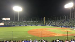 野球場のオアシス、神宮球場