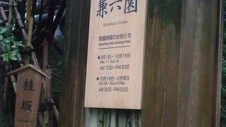 ライトアップも見たかったな