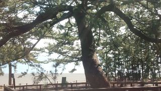 天女の羽衣伝説