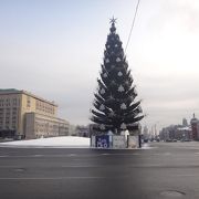 真ん中の巨木はクリスマスに良い