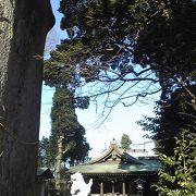 寒川神社の本殿を移築した木々が生い茂る神社