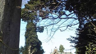 寒川神社の本殿を移築した木々が生い茂る神社