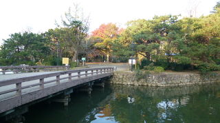 南国土佐でのんびりしています！