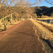 河口湖北岸ウォーキングトレイル クチコミ アクセス 営業時間 富士五湖 フォートラベル 河口湖北岸ウォーキングトレイル クチコミ アクセス 営業時間 富士五湖 フォートラベル