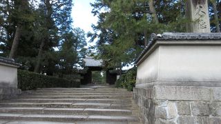 一休さんや、沢庵和尚も修行したお寺。